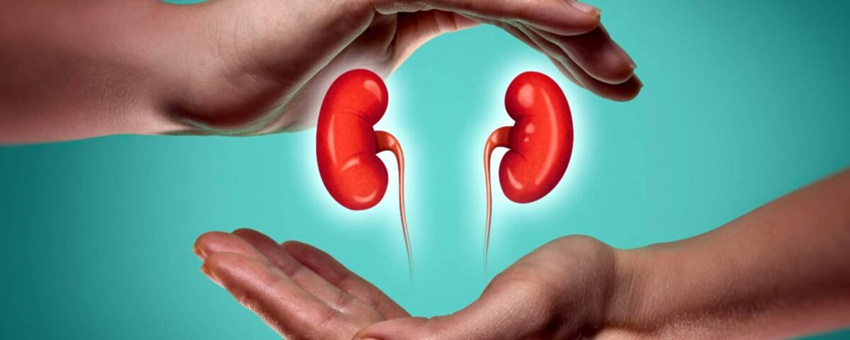 νεφρά και κορονοϊός